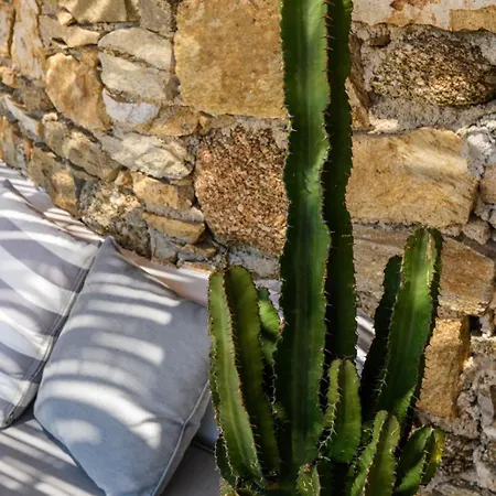 Sea Angels Βίλα *